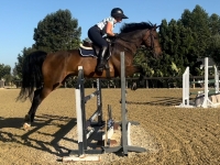 Lark Jump School