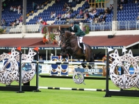 Corrib House  1.60 jumper bred here ( Harelquin Du Carel  ex Coppa Leaf by Cavalier Royale) 