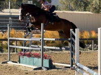 Mijo September 