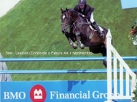 Lexicon - Lexilou's Sire