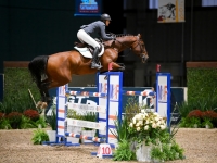 Sacramento 1.45m GP