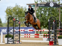 Vigo with Amateur owner 