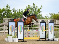 Vigo with Amateur owner