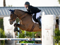 ramsay_equine_horses-35_copy.png