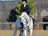 dasha_zappo_sonoma_3.jpg