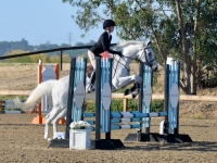 Zappo and Dasha Sonoma