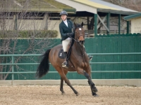 Delphina DF - Children's / Amateur Jumper - Child / AA Jumper for sale