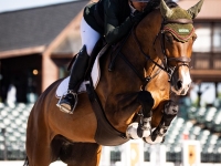 Cokidoo Tryon