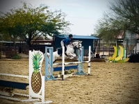 img_0111.jpeg
