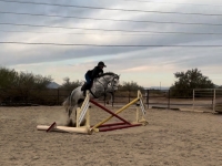 img_8973.jpeg