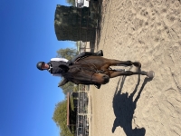 img_9040.jpeg