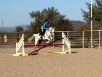 img_9169.jpeg