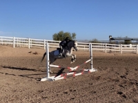 img_9912.jpeg