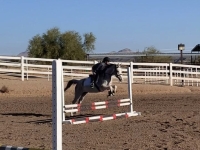 img_9914.jpeg