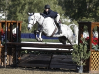 Zander 3’6