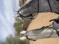 img_0296.jpeg