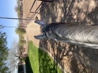 img_0365.jpeg