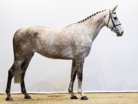 onassis-wadd25l185877-kopie-17-57-03.jpeg