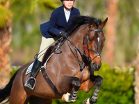 ramsay_equine_horses-37.png