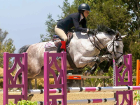 ramsay_equine_horses-37.png