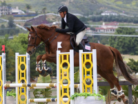 ramsay_equine_horses-38.png