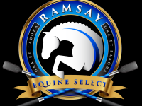 ramsay_equine_horses-38.png