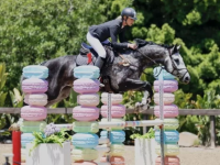 ramsay_equine_horses-38_copy.png