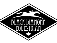 blackdiamondlogofinal12-28-11.jpg