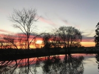 pond_sunset.jpg
