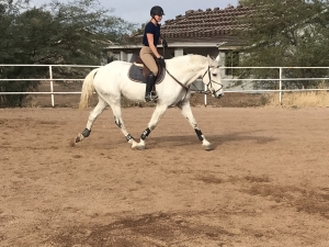 Quinn XC Quinn XC