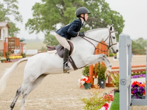 Prim & Proper Small Green Pony Division Prim & Proper Small Green Pony Division