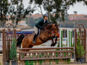 Leo Equitation Leo Equitation