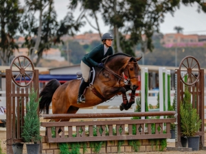 Leo Equitation