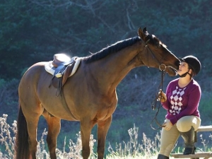 Ashley Mason Equestrian- Sales, Leasing, Young Horse Development