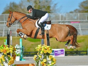 Momma Ace & Amy in GP ring at Hits Ocala