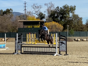 Tommy jump Tommy jump