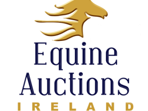 Equine Auctions Ireland