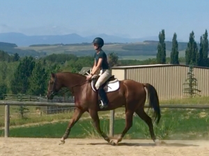 Kinder trot Kinder trot