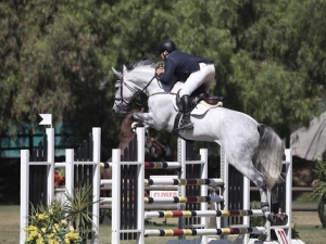 Jason McArdle and Cabacento winning the7 Year Old Young Jumper Finals 2020