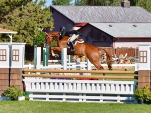 Milo Oregon Derby