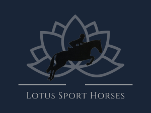 Lotus Sport Horses