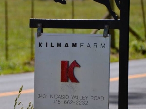 KF KF