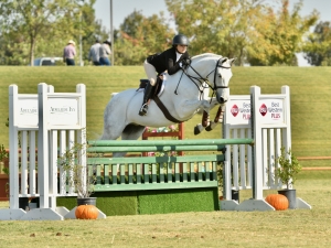 Call It Karma, 3’6” Equitation 