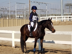 Mona at Fresno County Horse Park