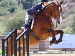 Equitation with catch rider 