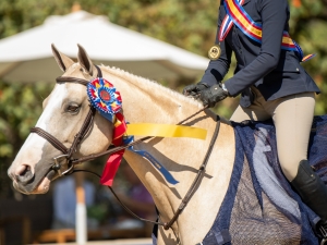 victory gallop victory gallop