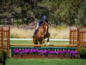 Bend jumping Bend jumping