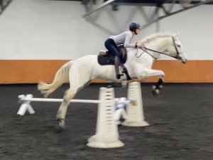 Waylon jump Waylon jump