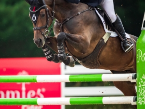 Capree 1.25m Capree 1.25m