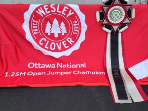 1.25m open champ 1.25m open champ
